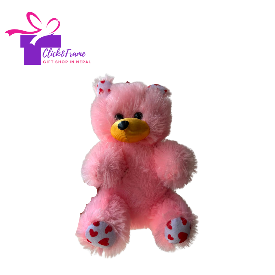 Teddy Bear